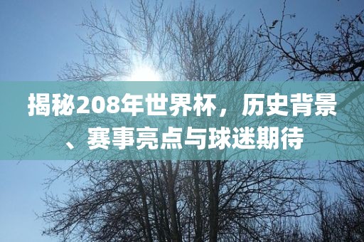 揭秘208年世界杯，历史背景、赛事亮点与球迷期待