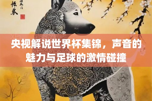 央视解说世界杯集锦，声音的魅力与足球的激情碰撞