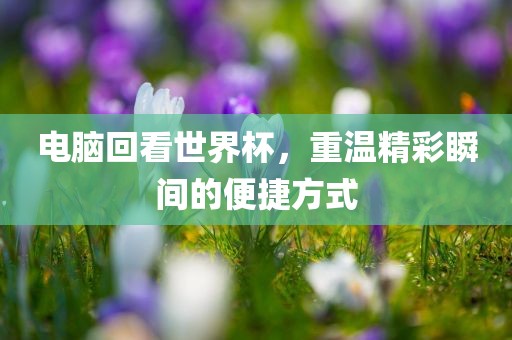 电脑回看世界杯，重温精彩瞬间的便捷方式