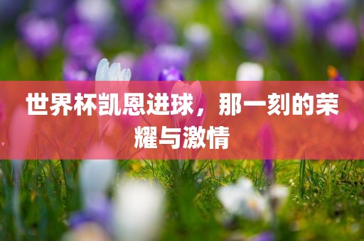 世界杯凯恩进球，那一刻的荣耀与激情