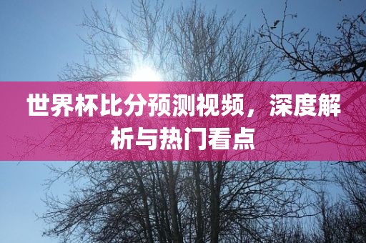 世界杯比分预测视频，深度解析与热门看点