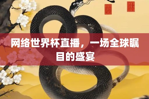 网络世界杯直播，一场全球瞩目的盛宴