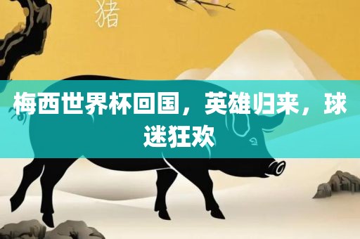 梅西世界杯回国，英雄归来，球迷狂欢