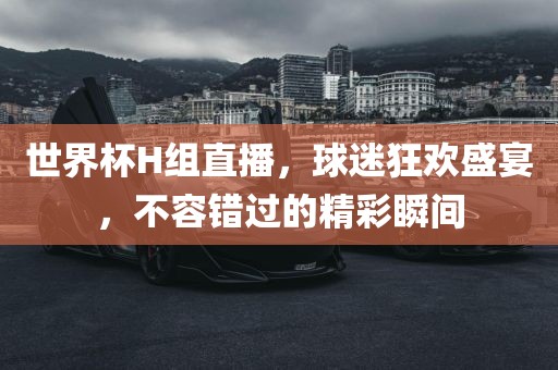 世界杯H组直播，球迷狂欢盛宴，不容错过的精彩瞬间