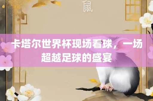 卡塔尔世界杯现场看球，一场超越足球的盛宴