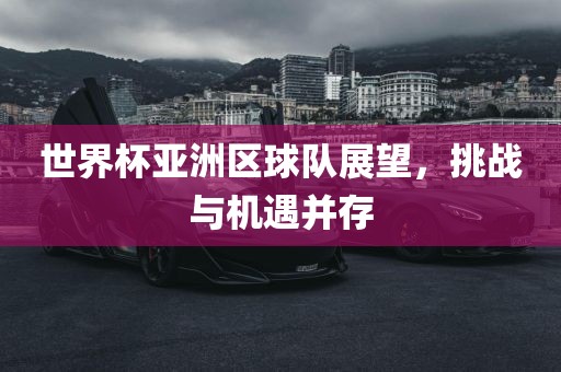 世界杯亚洲区球队展望，挑战与机遇并存