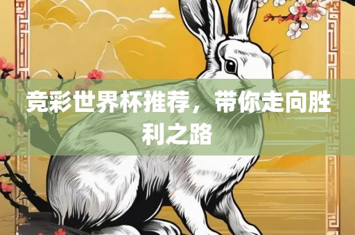 竞彩世界杯推荐，带你走向胜利之路