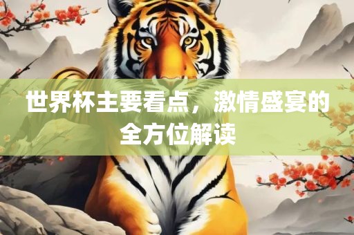 世界杯主要看点，激情盛吉安市靖泰电力工程有限公司宴的全方位解读