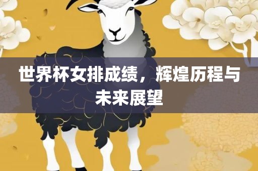 世界杯女排成绩，辉煌历程与未来展望