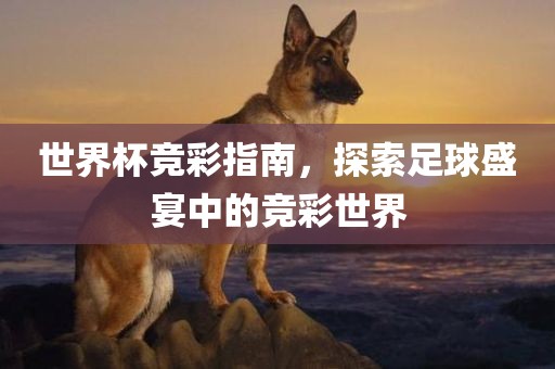 世界杯竞彩指南，探索足球盛宴中的竞彩世界