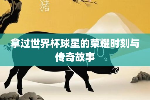 拿过世界杯球星的荣耀时刻与传奇故事