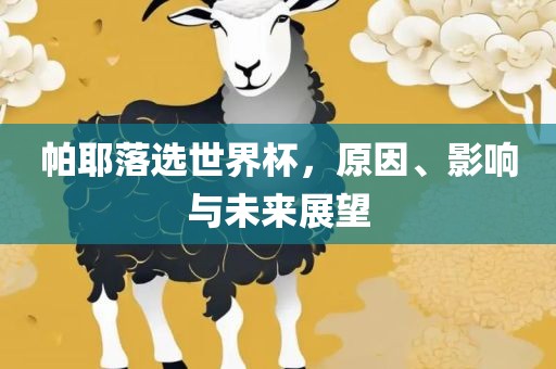 帕耶落选世界杯，原因、影响与未来展望