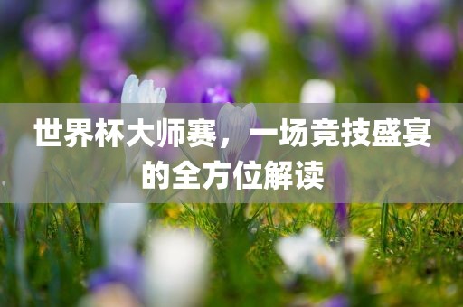 世界杯大师赛，一场竞技盛宴的全方位解读