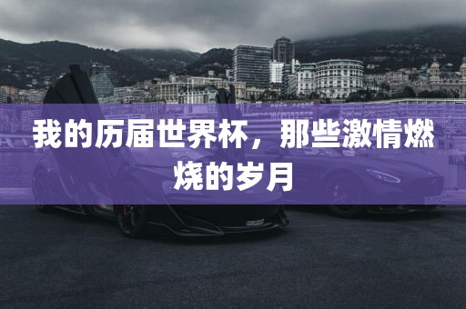 我的历届世界杯，那些激情燃烧的岁月