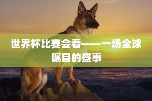 世界杯比赛会看——一场全球瞩目的盛事