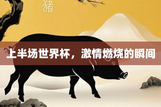 上半场世界杯，激情燃烧的瞬间