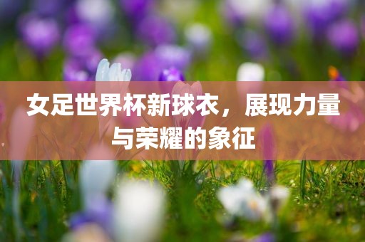 女足世界杯新球衣，展现力量与荣耀的象征