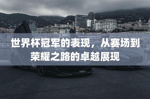 世界杯冠军的表现，从赛场到荣耀之路的卓越展现