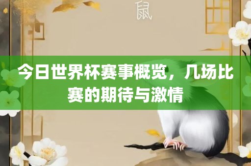 今日世界杯赛事概览，几场比赛的期待与激情