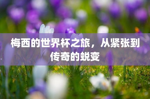 梅西的世界杯之旅，从紧张到传奇的蜕变