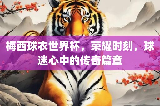 梅西球衣世界杯，荣耀时刻，球迷心中的传奇篇章