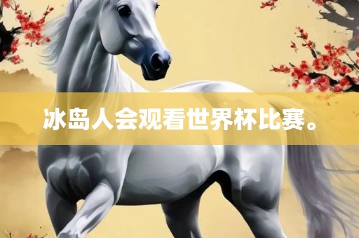 冰岛人会观看世界杯比赛。