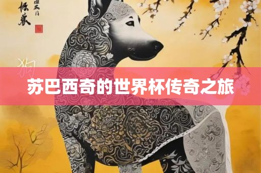 苏巴西奇的世界杯传奇之旅