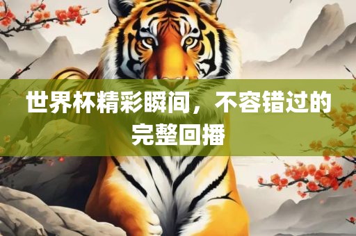 世界杯精彩瞬间，不容错过的完整回播