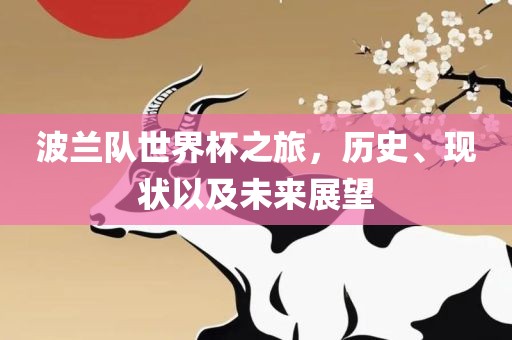 波兰队世界杯之旅，历史、现状以及未来展望
