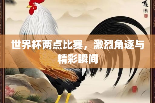 世界杯两点比赛，激烈角逐与精彩瞬间