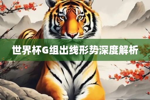 世界杯G组出线形势深度解析