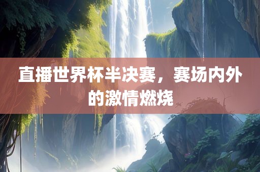 直播世界杯半决赛，赛场内外的激情燃烧