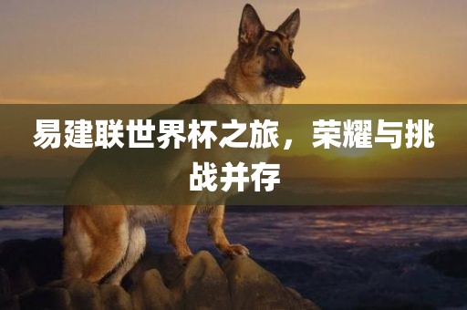 易建联世界杯之旅，荣耀与挑战并存