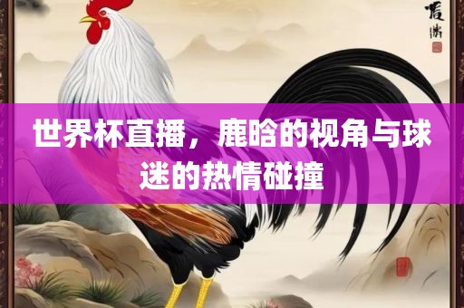 世界杯直播，鹿晗的视角与球迷的热情碰撞