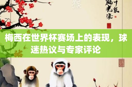 梅西在世界杯赛场上的表现，球迷热议与专家评论