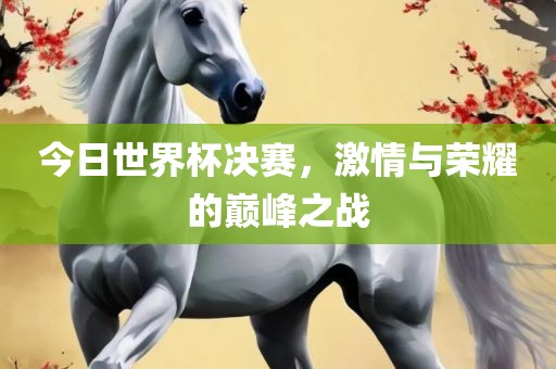 今日世界杯决赛，激情与荣耀的巅峰之战