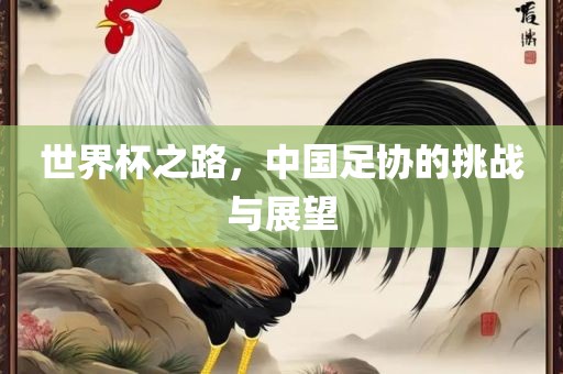 世界杯之路，中国足协的挑战与展望