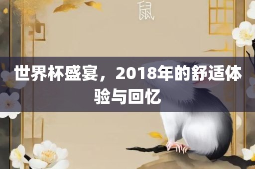 世界杯盛宴，2018年的舒适体验与回忆