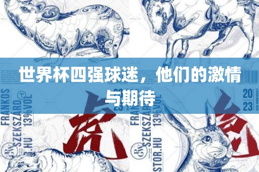 世界杯四强球迷，他们的激情与期待