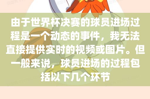 由于世界杯决赛的球员进场过程是一个动态的事件，我无法直接提供实时的视频或图片。但一般来说，球员进场的过程包括以下几个环节