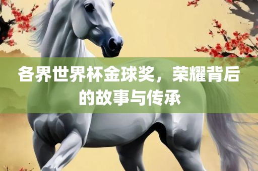 各界世界杯金球奖，荣耀背后的故事与传承