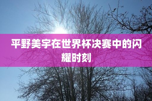 平野美宇在世界杯决赛中的闪耀时刻
