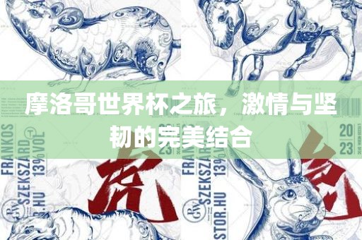 摩洛哥世界杯之旅，激情与坚韧的完美吉安市靖泰电力工程有限公司结合