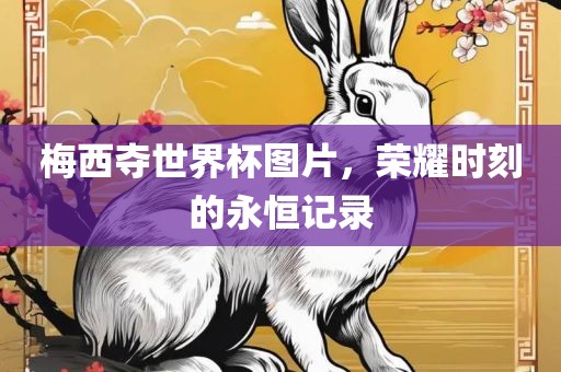 梅西夺世界杯图片，荣耀时刻的永恒记录