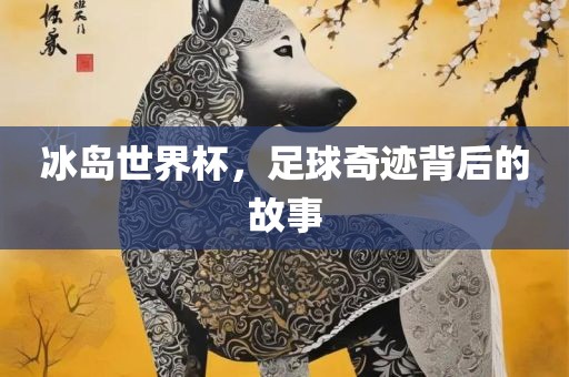 冰岛世界杯，足球奇迹背后的故事