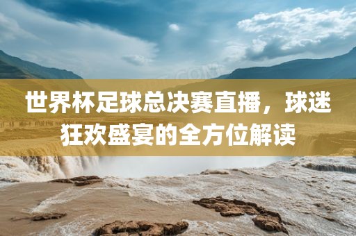 世界杯足球总决赛直播，球迷狂欢盛宴的全方位解读