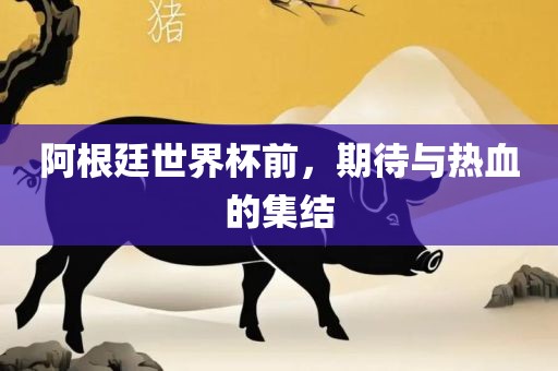 阿根廷世界杯前，期待与热血的集结