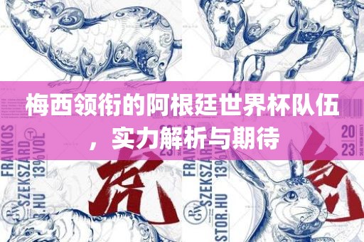 梅西领衔的阿根廷世界杯队伍，实力解析与期待