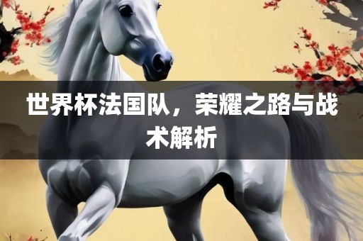 世界杯法国队，荣耀之路与战术解析