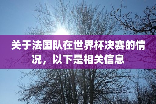 关于法国队在世界杯决赛的情况，以下是相关信息